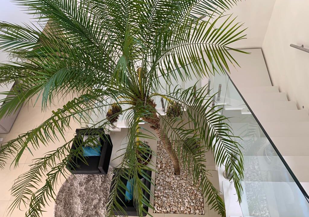 PHOTO-2025-08-01-15-17-502