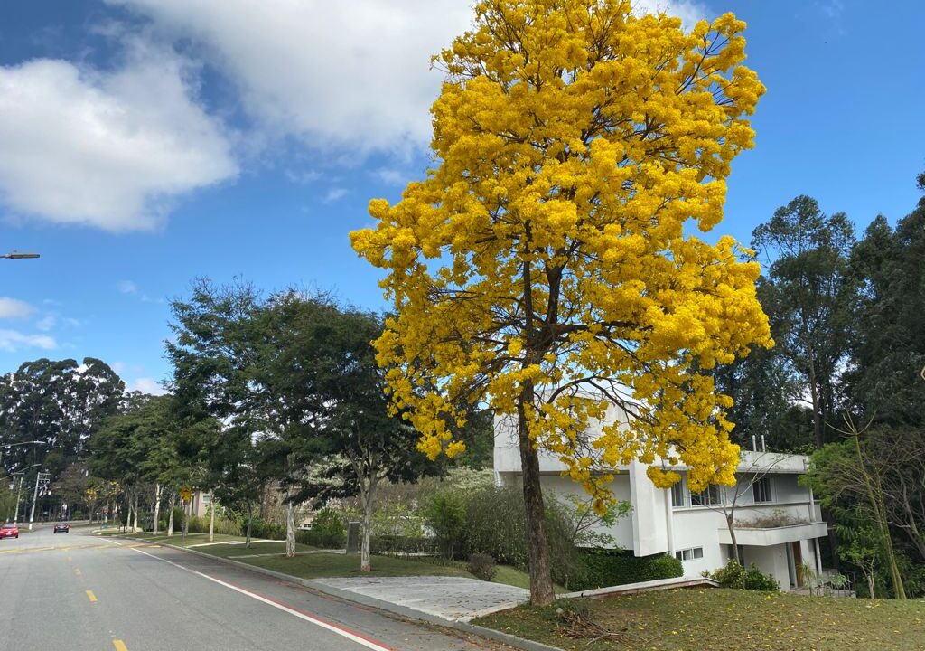 PHOTO-2025-10-18-14-35-15(18)