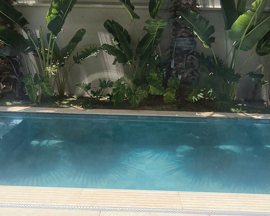 PHOTO-2025-10-27-20-50-00