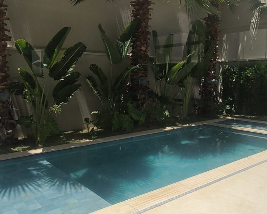 PHOTO-2025-10-27-20-50-00(10)