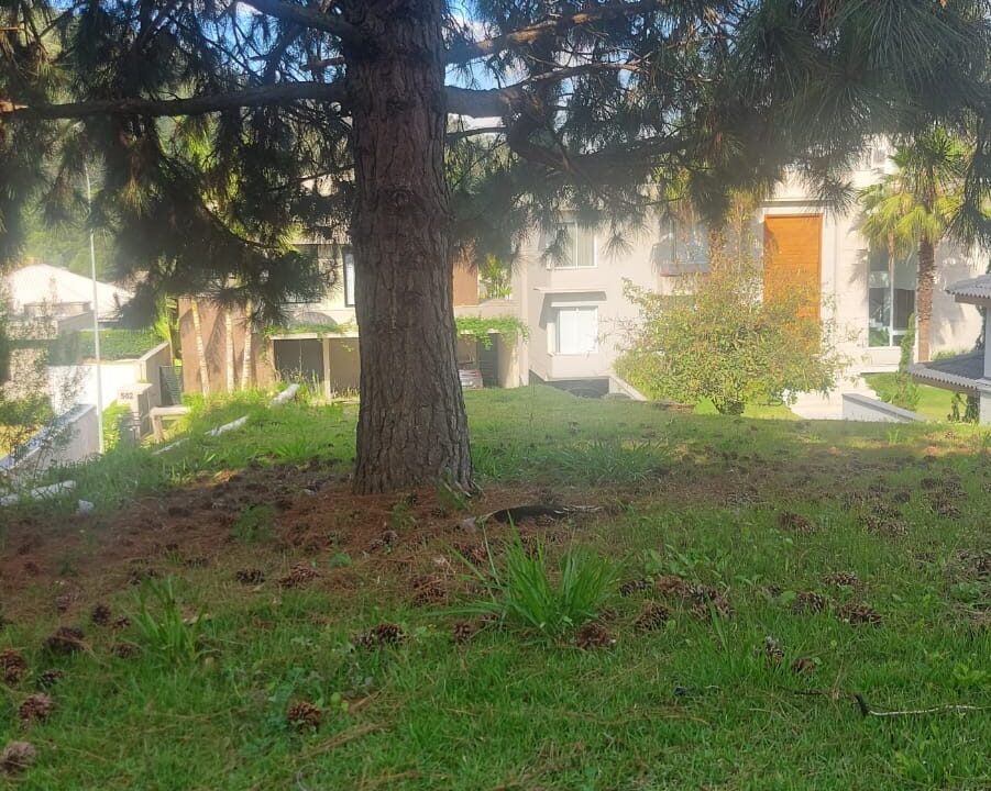 PHOTO-2025-10-27-21-46-03(2)