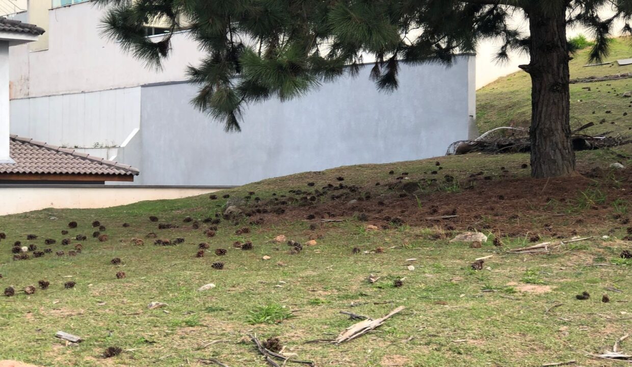 PHOTO-2025-10-27-21-46-03(3)