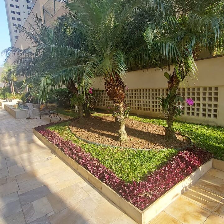 PHOTO-2025-11-12-22-18-49(8)