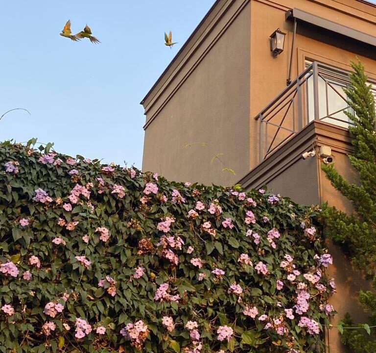 PHOTO-2025-11-18-20-33-53(8)