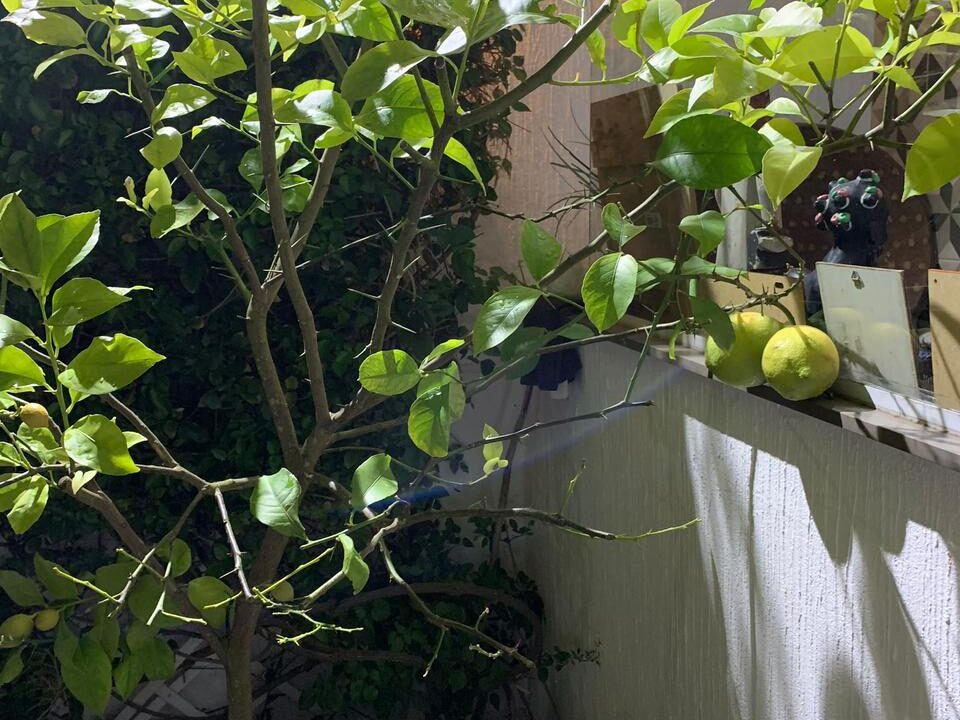 PHOTO-2025-12-19-20-29-13(6)