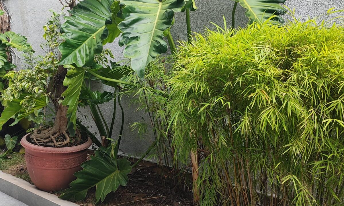 PHOTO-2026-01-28-11-49-01(1)