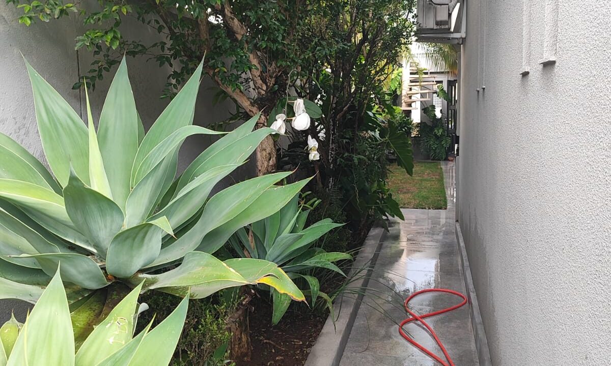 PHOTO-2026-01-28-11-49-01(2)