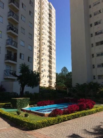 WhatsApp Image 2026-02-02 at 11.15.29 (1)