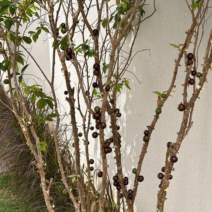 WhatsApp Image 2026-02-12 at 12.14.47 (1)