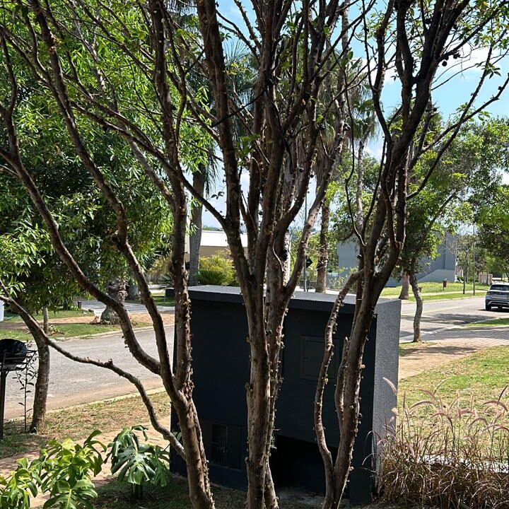 WhatsApp Image 2026-02-12 at 12.14.47 (2)