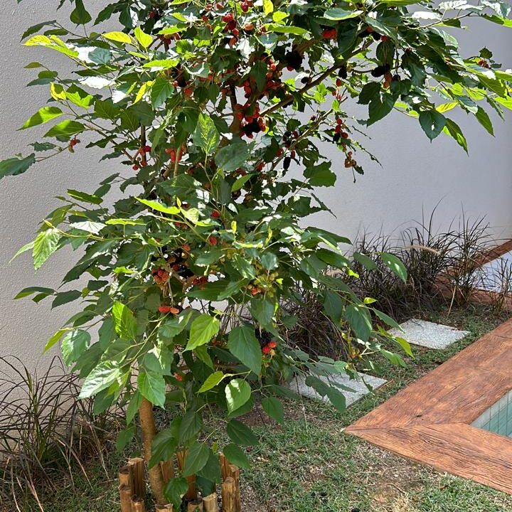 WhatsApp Image 2026-02-12 at 12.14.47