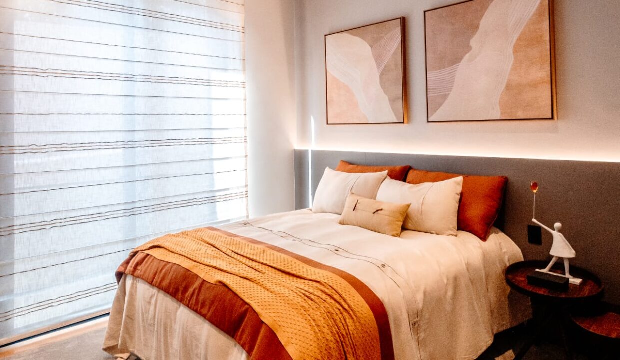 WhatsApp Image 2026-02-19 at 16.56.06