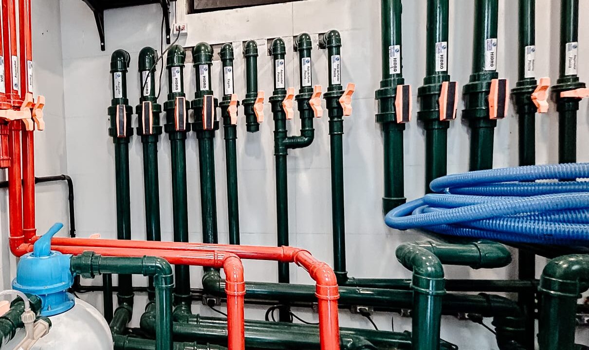 WhatsApp Image 2026-02-19 at 16.56.39 (1)