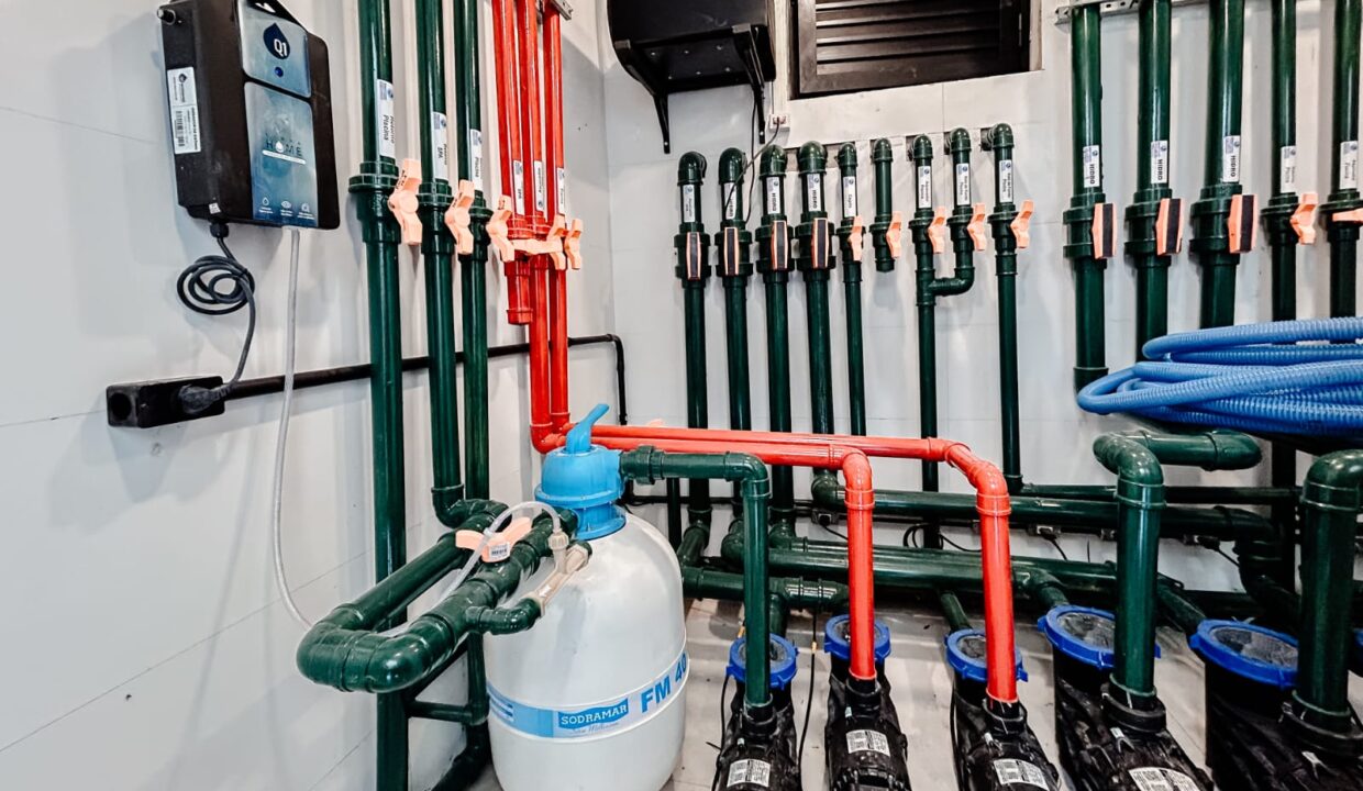 WhatsApp Image 2026-02-19 at 16.56.39